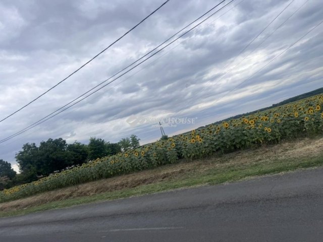 Eladó telek, Tápiógyörgyén 5.9 M Ft / költözzbe.hu