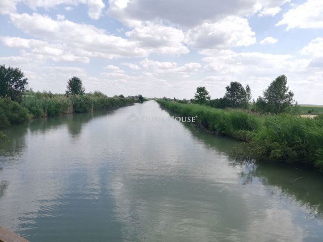 Eladó mezogazdasagi ingatlan, Tiszasülyön 435 M Ft