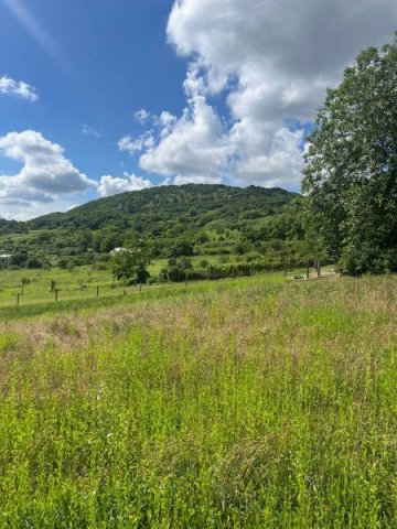 Eladó telek, Piliscsabán 49 M Ft / költözzbe.hu