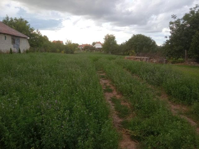 Eladó telek, Boldván 5.5 M Ft / költözzbe.hu