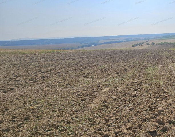 Eladó mezogazdasagi ingatlan, Szomoron 7 M Ft