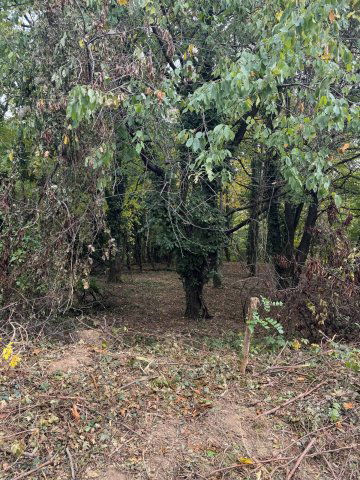 Eladó telek, Kőszegen 59.5 M Ft / költözzbe.hu