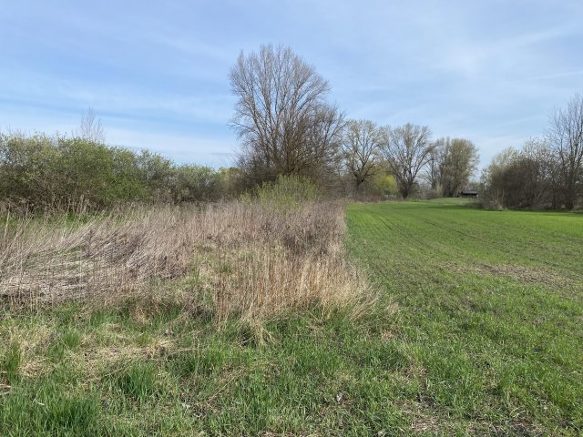 Eladó telek, Komáromban 5 M Ft / költözzbe.hu