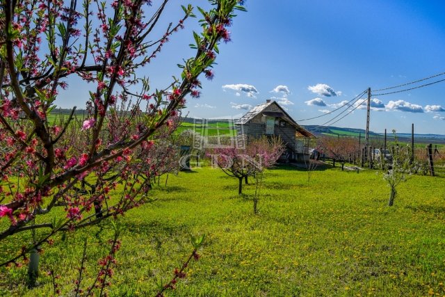 Eladó mezogazdasagi ingatlan, Edelényben 9.8 M Ft