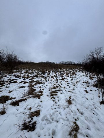 Eladó telek, Pannonhalmán 79 M Ft / költözzbe.hu