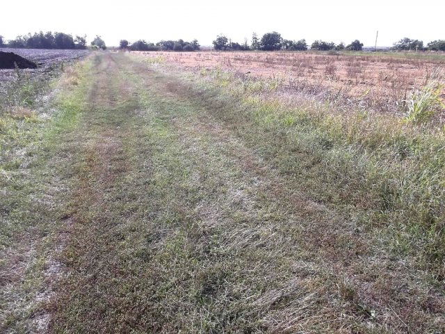 Eladó telek, Kápolnásnyéken 25 M Ft / költözzbe.hu