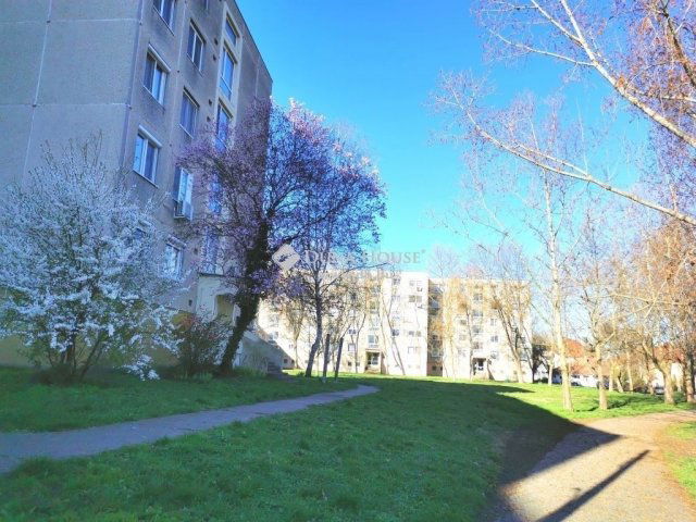 Eladó panellakás, Dorogon 53 M Ft, 3 szobás