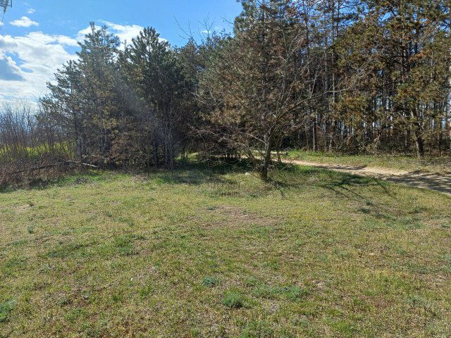 Eladó telek, Ágasegyházán 6 M Ft / költözzbe.hu