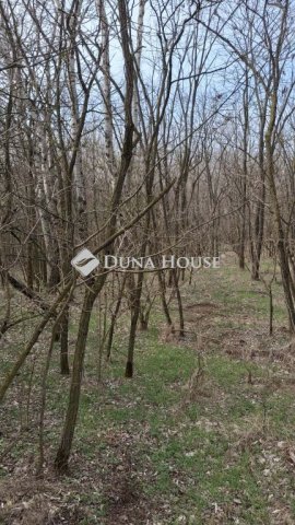 Eladó mezogazdasagi ingatlan, Kunszentmiklóson 15 M Ft