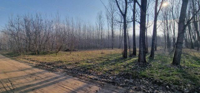 Eladó mezogazdasagi ingatlan, Cegléden 1 M Ft