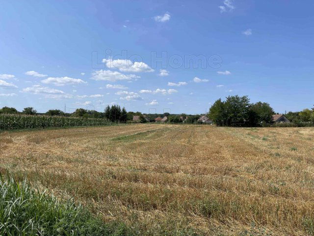 Eladó mezogazdasagi ingatlan, Balatonszabadiban 9.999 M Ft