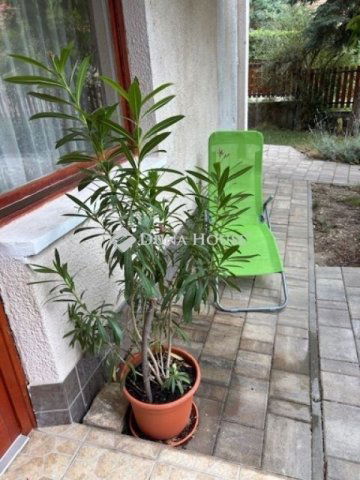 Eladó téglalakás, Budapesten, II. kerületben 150 M Ft, 4 szobás