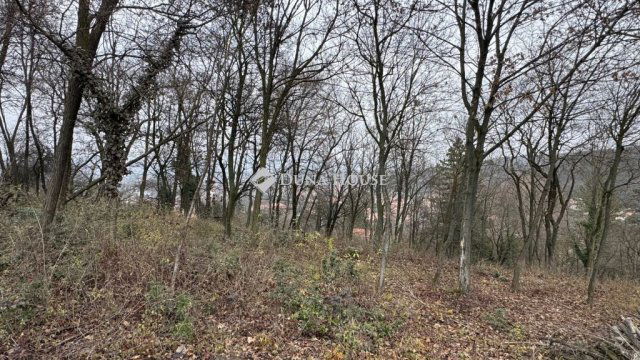 Eladó telek, Törökbálinton 99 M Ft / költözzbe.hu