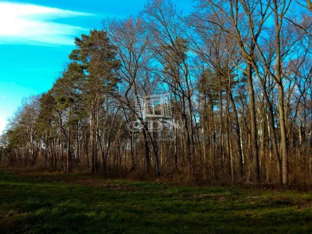 Eladó telek, Tökölön 5.8 M Ft / költözzbe.hu