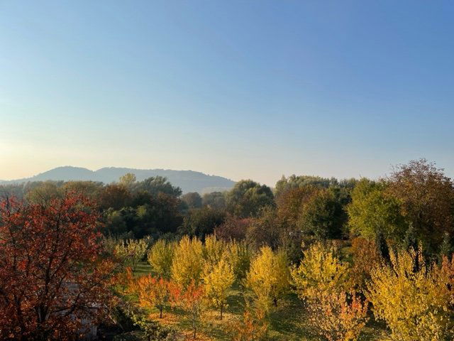Eladó telek, Badacsonytördemicen 29.9 M Ft / költözzbe.hu