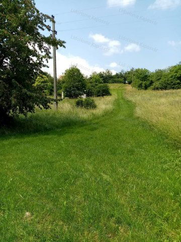 Eladó mezogazdasagi ingatlan, Igalon 1.4 M Ft