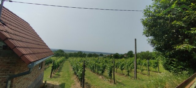 Eladó mezogazdasagi ingatlan, Harkányban 11.5 M Ft