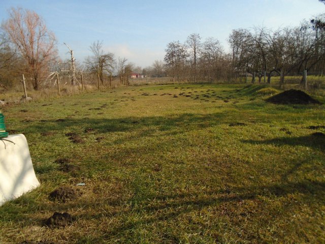 Eladó családi ház, Cserkeszőlőn 16 M Ft, 2 szobás