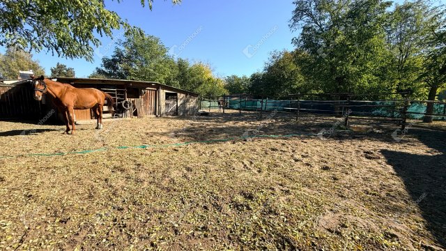 Eladó családi ház, Pilisen 81.9 M Ft, 5 szobás