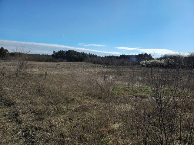 Eladó mezogazdasagi ingatlan, Baján 7.9 M Ft