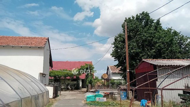 Eladó mezogazdasagi ingatlan, Röszkén 100 M Ft