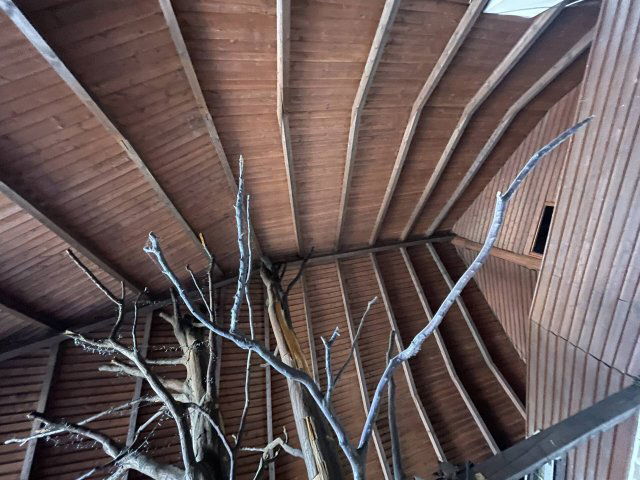 Eladó családi ház, Mocsán 460 M Ft, 24+2 szobás