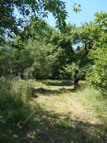 Eladó családi ház, Hegyhátszentjakabon 28 M Ft, 2 szobás