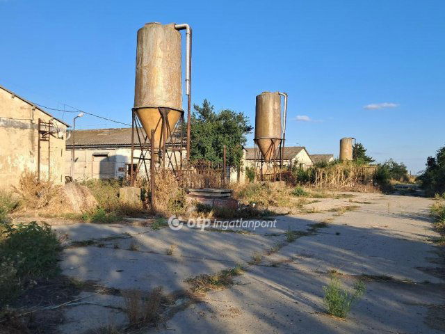 Eladó mezogazdasagi ingatlan, Besenyszögön 95 M Ft