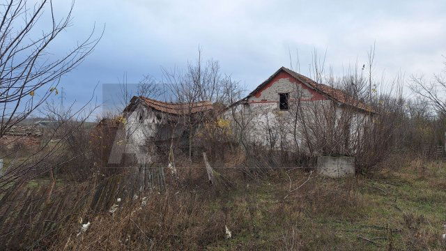 Eladó mezogazdasagi ingatlan, Balástyán 5 M Ft