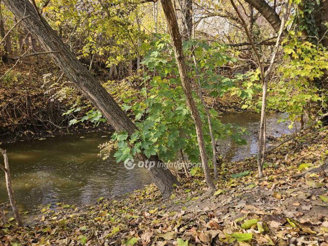 Eladó családi ház, Sóskúton 100 M Ft, 4 szobás