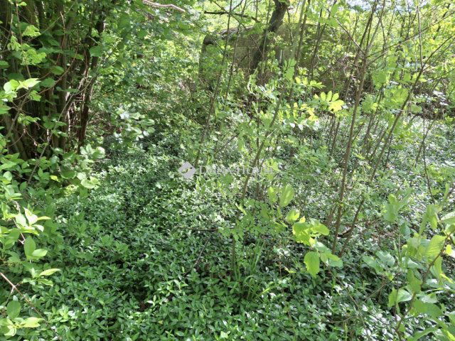 Eladó telek, Kevermesen 2.5 M Ft / költözzbe.hu