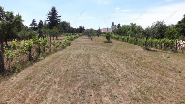 Eladó telek, Homokbödögén 4.5 M Ft / költözzbe.hu