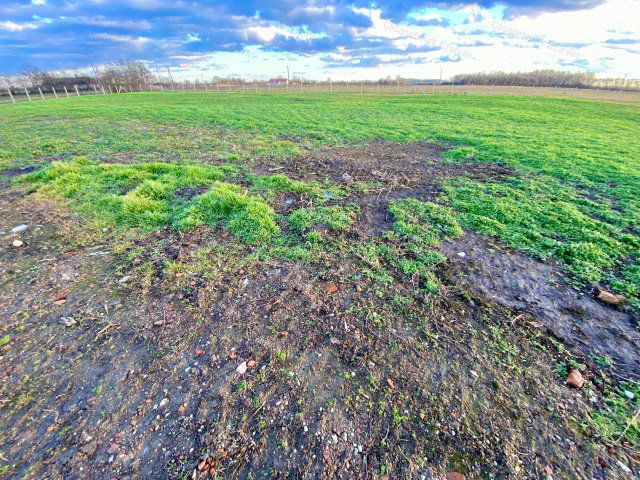 Eladó mezogazdasagi ingatlan, Szarvason 8.5 M Ft