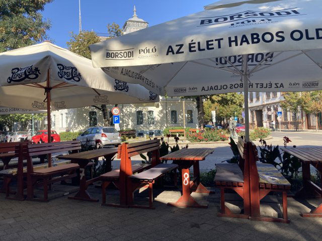 Eladó hotel, Gyulán, Kossuth Lajos utcában 385 M Ft, 6 szobás
