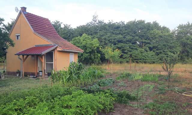 Eladó telek, Kecskeméten 9.9 M Ft / költözzbe.hu