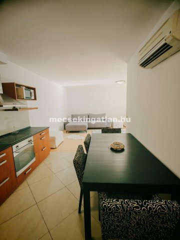 Kiadó téglalakás, albérlet, Pécsett 240 E Ft / hó, 2 szobás