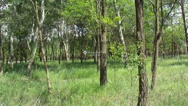 Eladó telek, Kisteleken 172 M Ft / költözzbe.hu