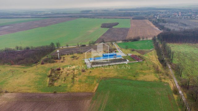 Eladó telek, Sárosdon 350 M Ft / költözzbe.hu