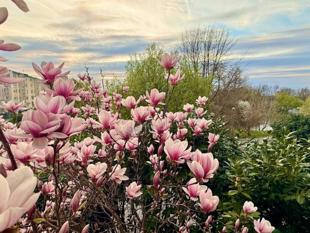 Eladó téglalakás, Oroszlányban 50.5 M Ft, 2 szobás