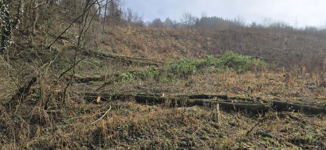 Eladó telek, Zalaegerszegen 1.5 M Ft / költözzbe.hu