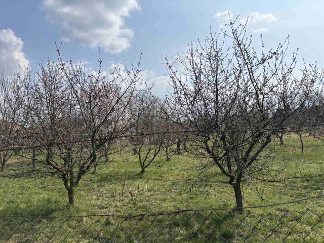 Eladó telek, Téten 15 M Ft / költözzbe.hu