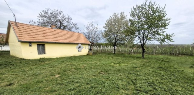 Eladó mezogazdasagi ingatlan, Mozsgón 15.5 M Ft, 1 szobás