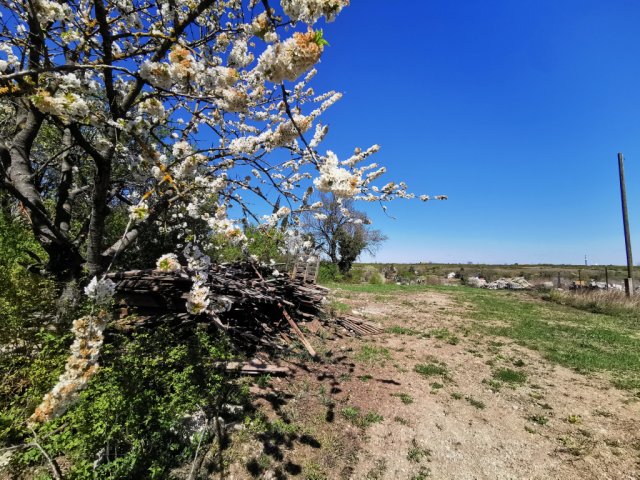 Eladó telek, Törökbálinton 41.27 M Ft / költözzbe.hu