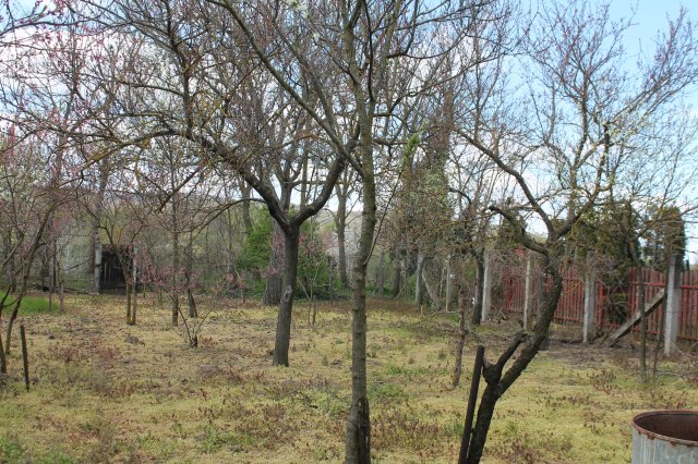 Eladó családi ház, Szárligeten 49.9 M Ft, 3+1 szobás