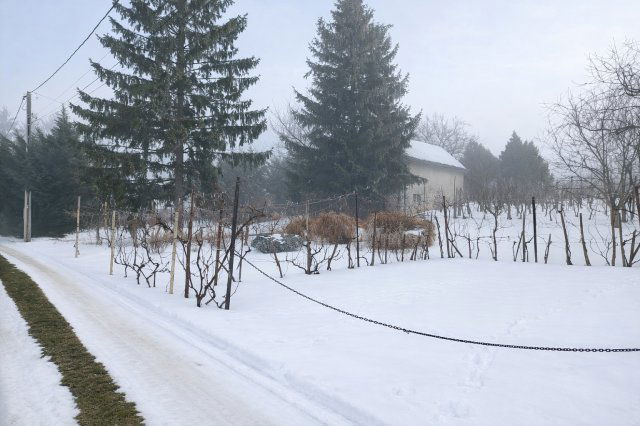 Eladó családi ház, Sümegen 20.9 M Ft, 1 szobás