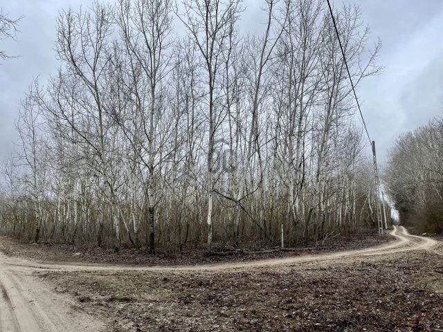 Eladó telek, Orgoványon 12 M Ft / költözzbe.hu