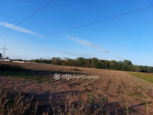 Eladó mezogazdasagi ingatlan, Ópusztaszeren 2.9 M Ft