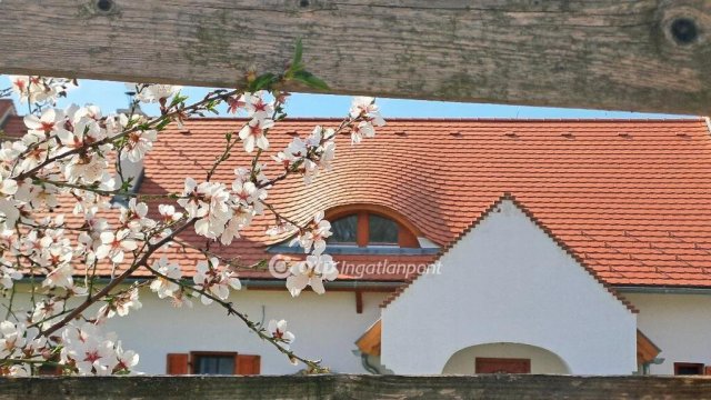 Eladó nyaraló, Balatonalmádiban 321 M Ft, 3+1 szobás