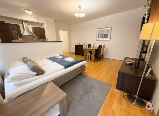 Kiadó téglalakás, albérlet, Budapesten, VII. kerületben