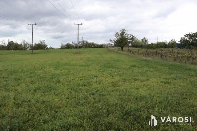 Eladó mezogazdasagi ingatlan, Kőröshegyen 14.9 M Ft